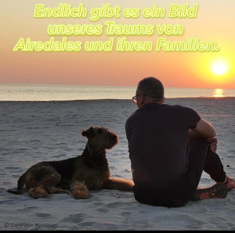 Airedale Terrier Glück ist unser Ziel! Dank an Ducati und Matthias
